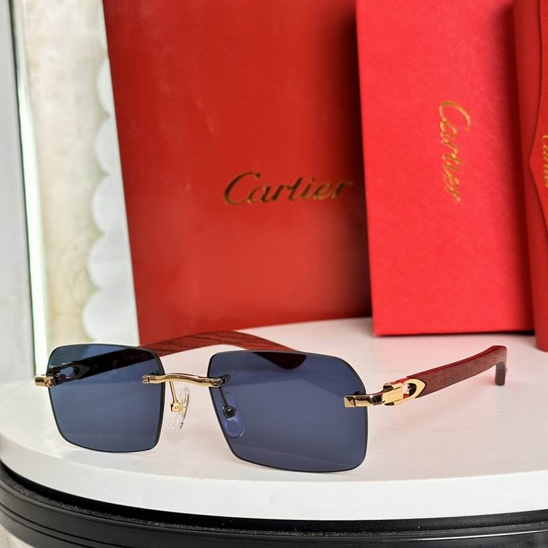 Cartier Glasses smr (3349)
