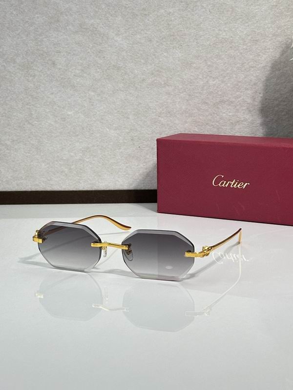 Cartier Glasses smr (335)