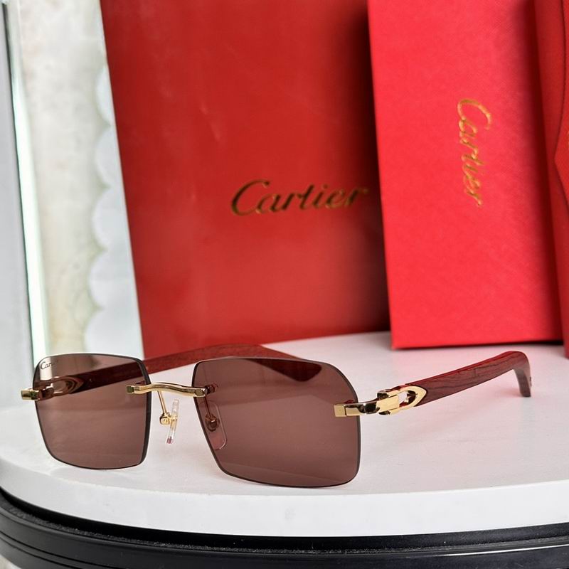 Cartier Glasses smr (3351)