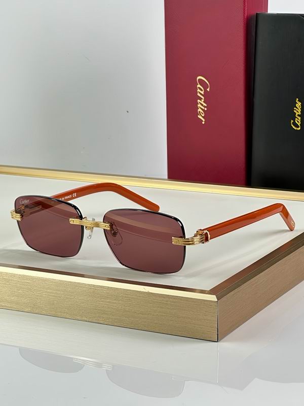 Cartier Glasses smr (3378)