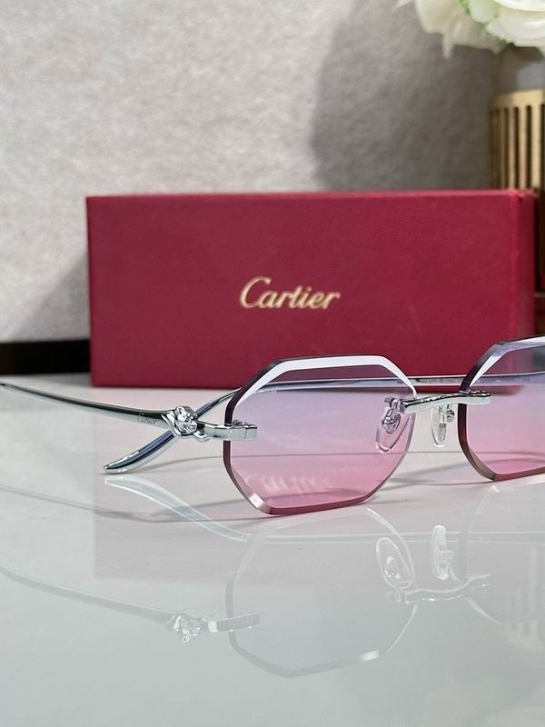 Cartier Glasses smr (338)