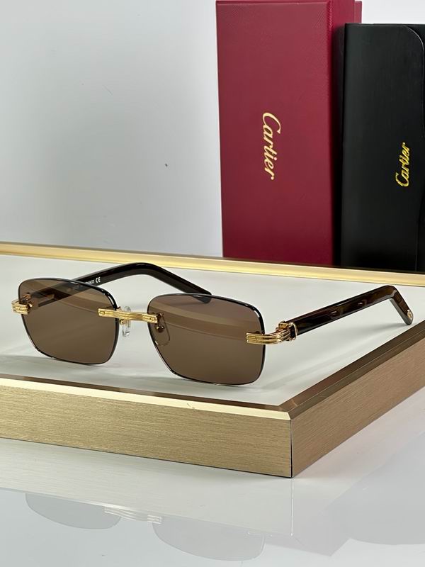 Cartier Glasses smr (3381)