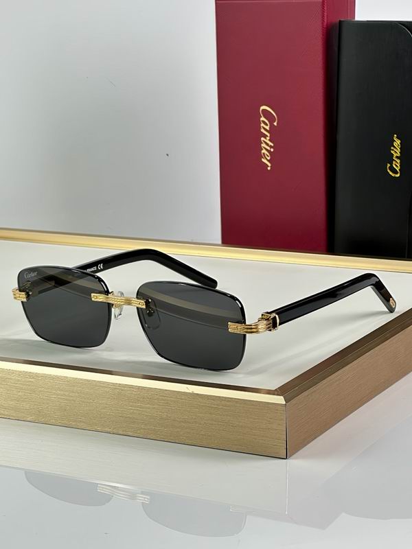 Cartier Glasses smr (3383)