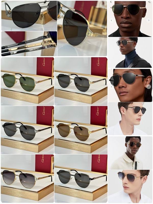 Cartier Glasses smr (3397)
