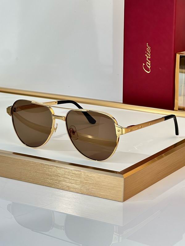 Cartier Glasses smr (3398)