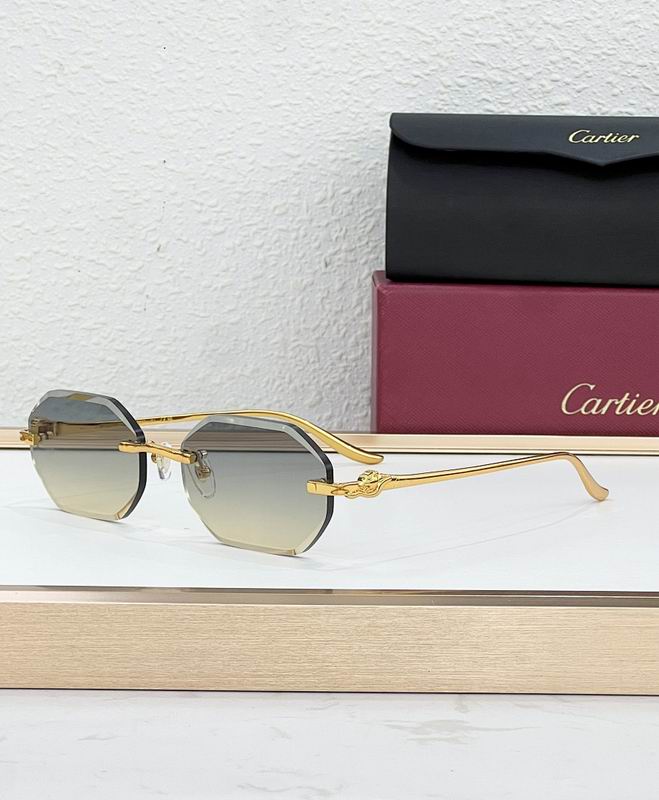 Cartier Glasses smr (34)