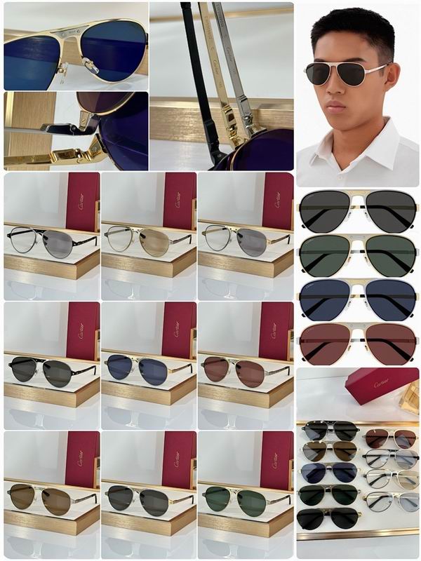 Cartier Glasses smr (3407)
