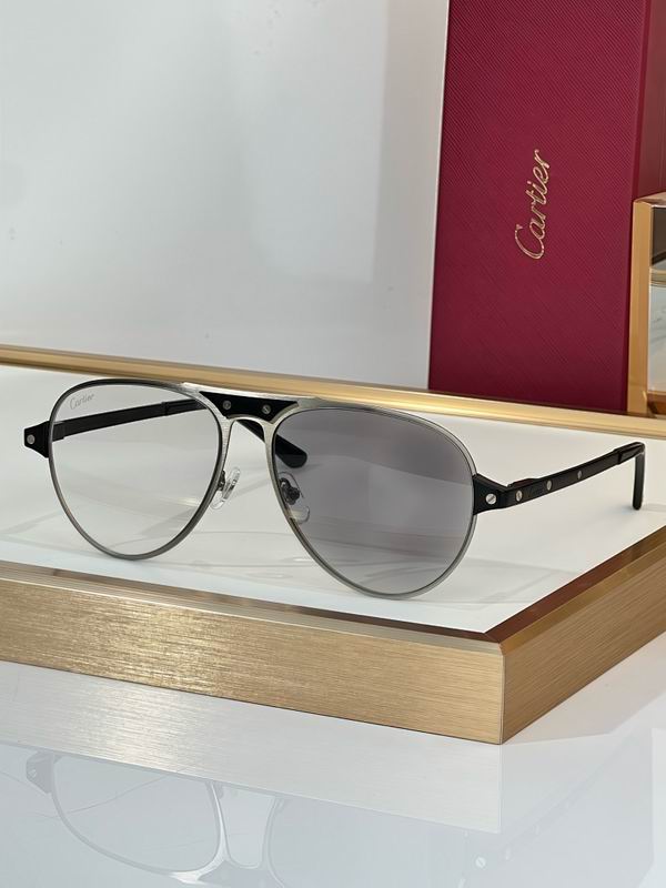 Cartier Glasses smr (3409)
