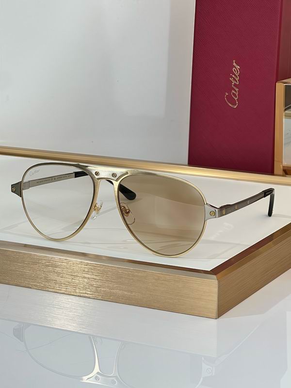 Cartier Glasses smr (3410)