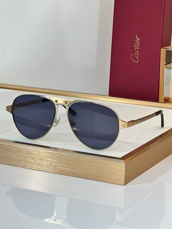 Cartier Glasses smr (3412)