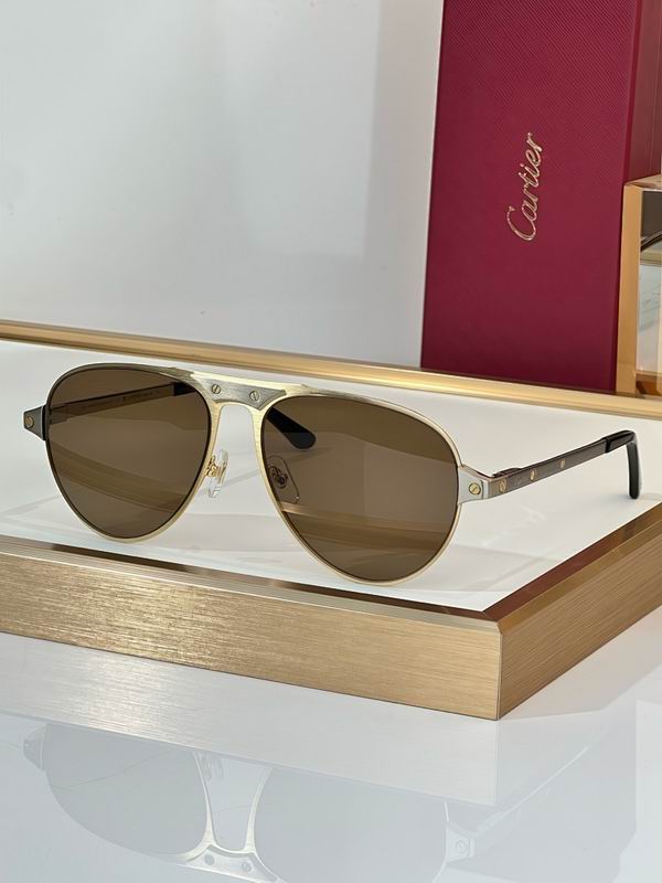 Cartier Glasses smr (3413)