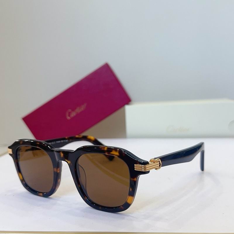 Cartier Glasses smr (3459)