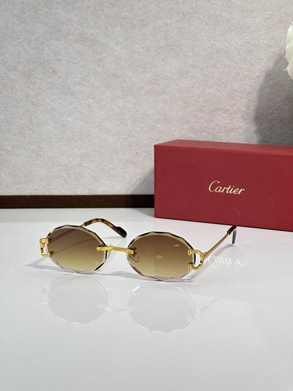 Cartier Glasses smr (346)