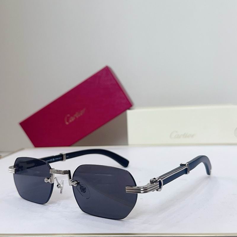 Cartier Glasses smr (3494)