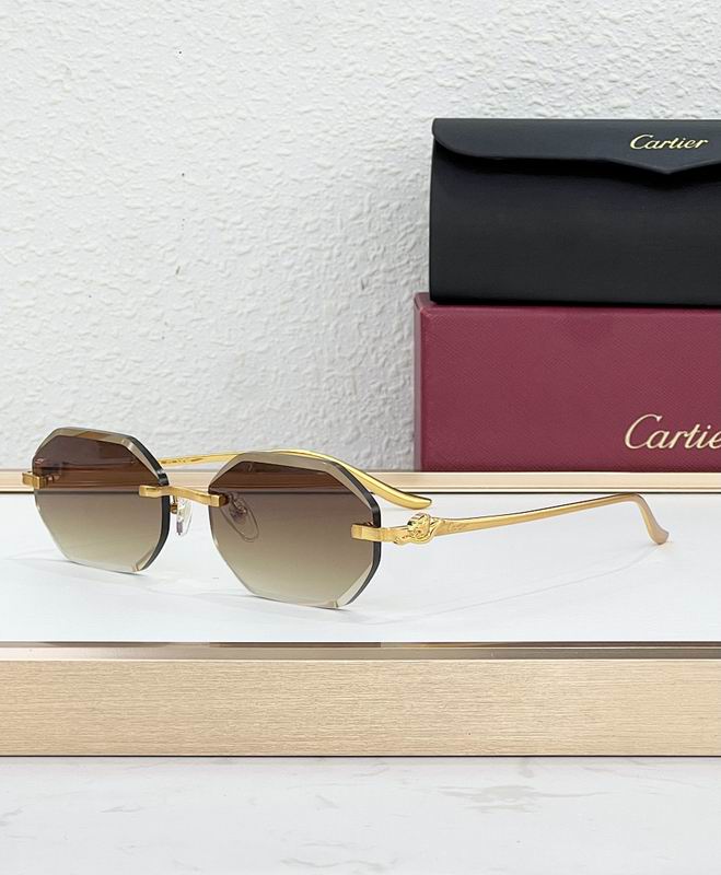 Cartier Glasses smr (35)
