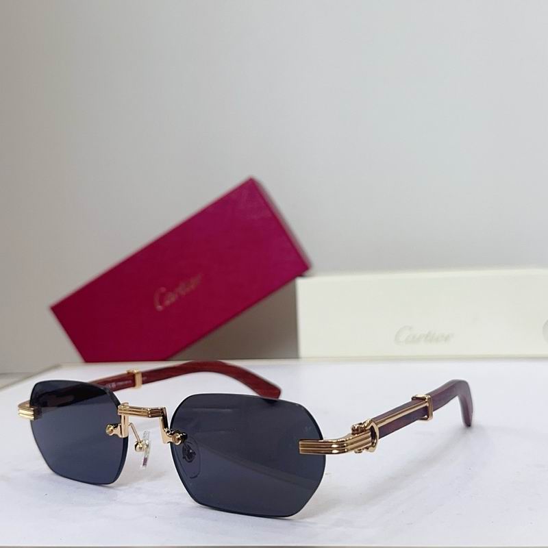 Cartier Glasses smr (3501)