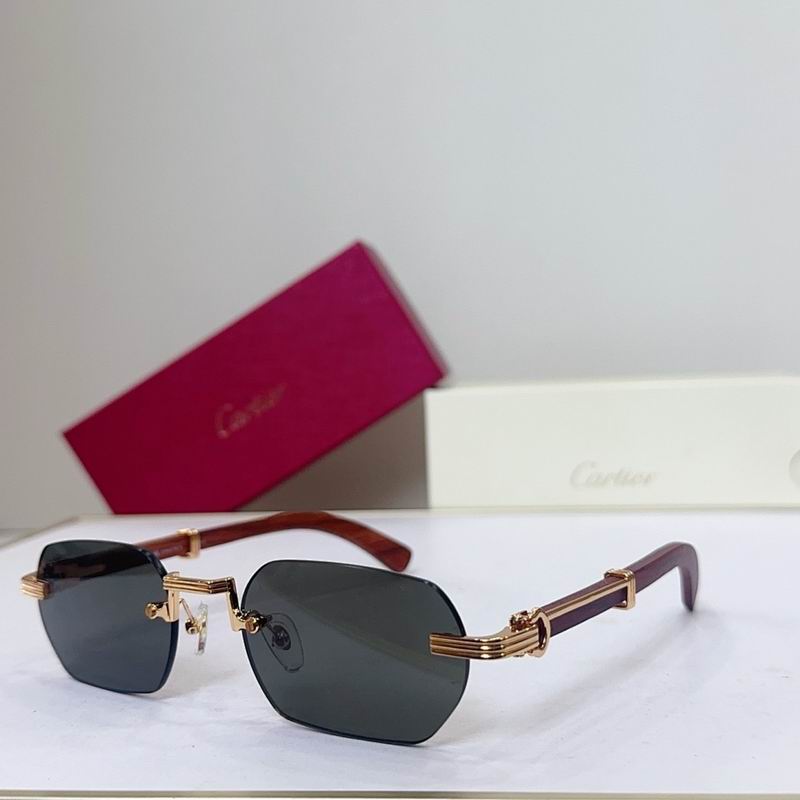 Cartier Glasses smr (3503)