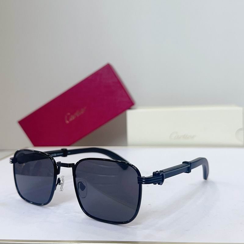Cartier Glasses smr (3509)