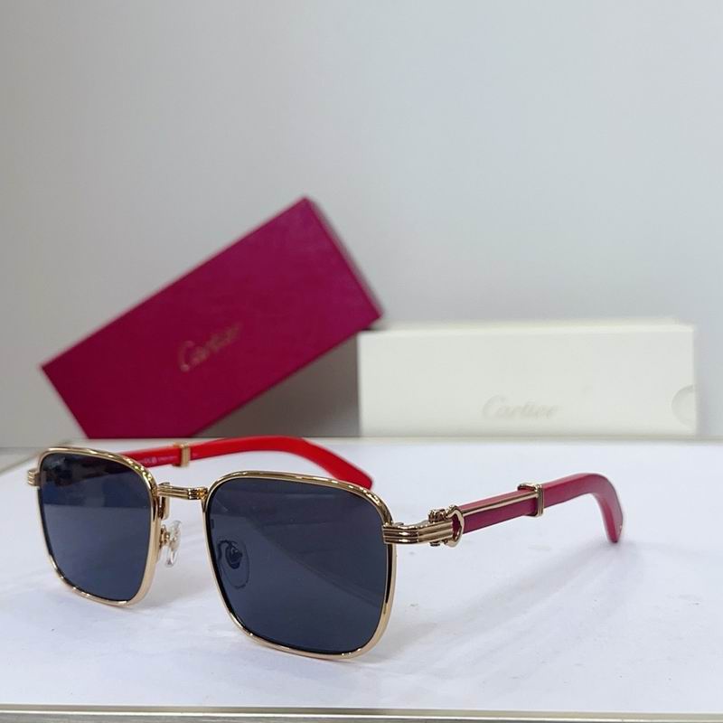 Cartier Glasses smr (3510)