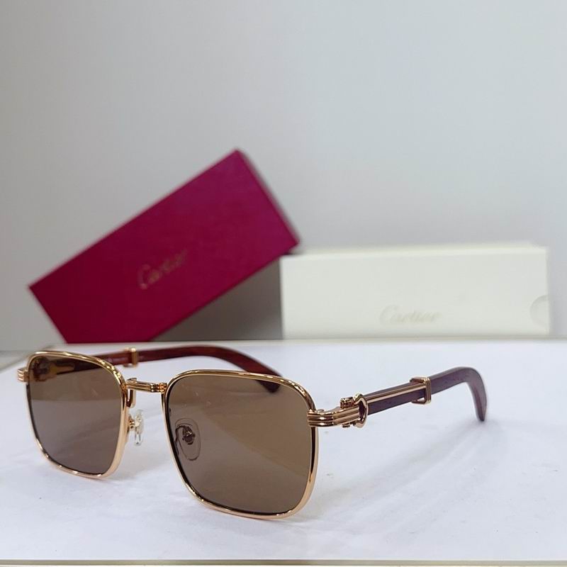 Cartier Glasses smr (3511)