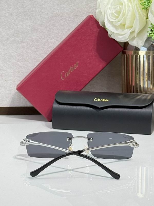 Cartier Glasses smr (359)