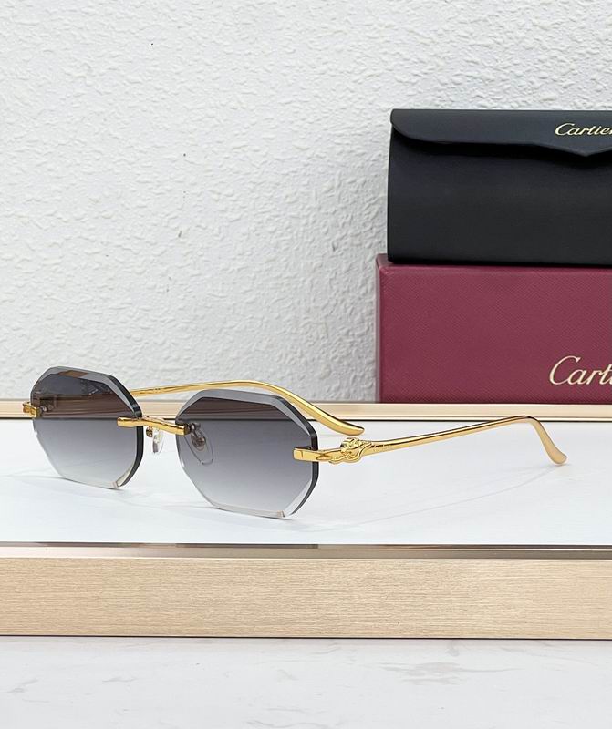 Cartier Glasses smr (38)