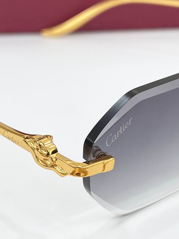 Cartier Glasses smr (39)