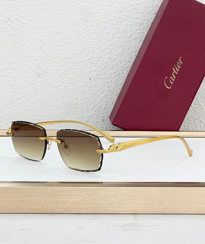 Cartier Glasses smr (4)