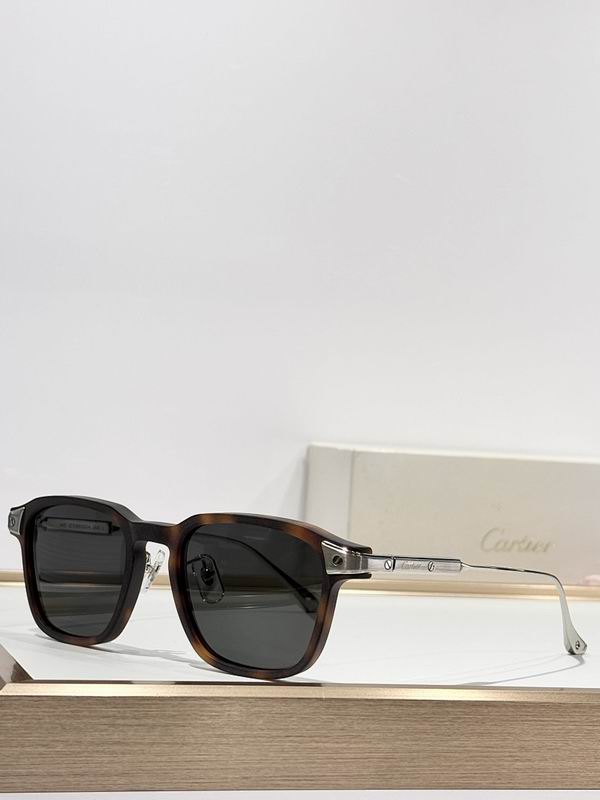 Cartier Glasses smr (401)