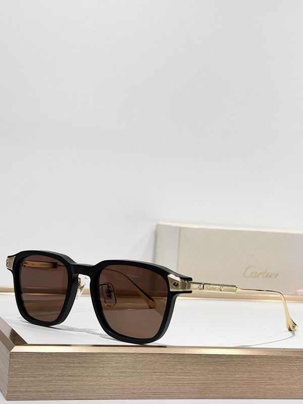 Cartier Glasses smr (403)