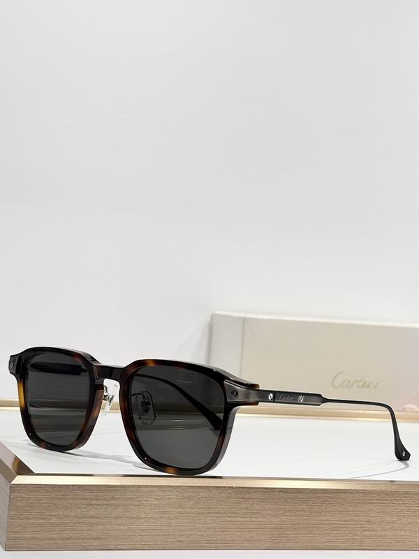 Cartier Glasses smr (405)