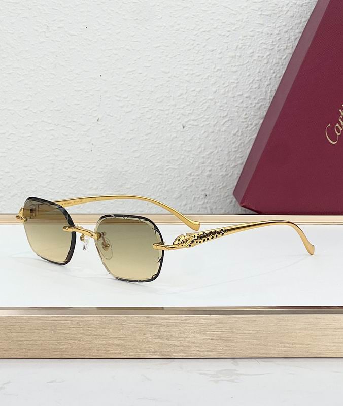 Cartier Glasses smr (44)
