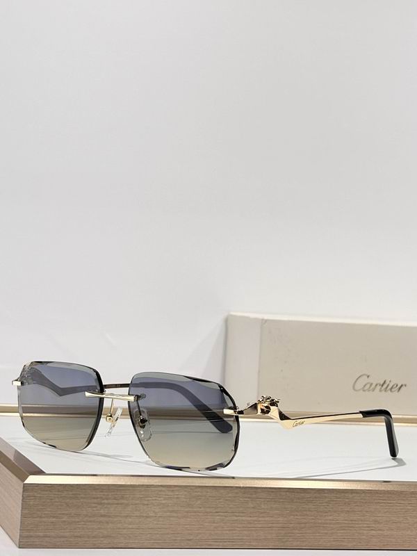 Cartier Glasses smr (463)