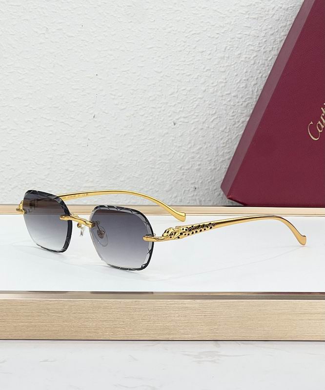 Cartier Glasses smr (47)