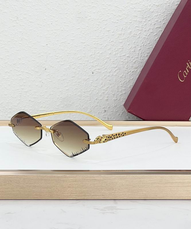 Cartier Glasses smr (53)
