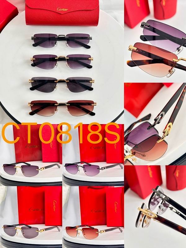 Cartier Glasses smr (537)