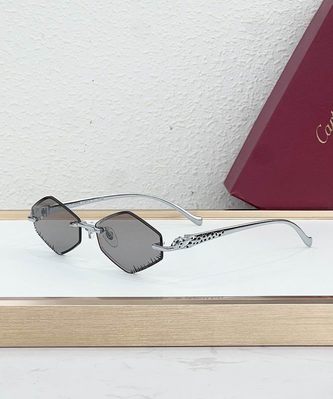 Cartier Glasses smr (54)