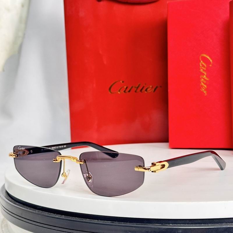 Cartier Glasses smr (540)