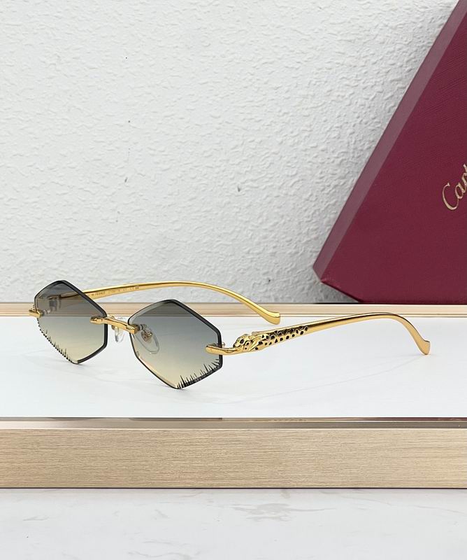 Cartier Glasses smr (57)