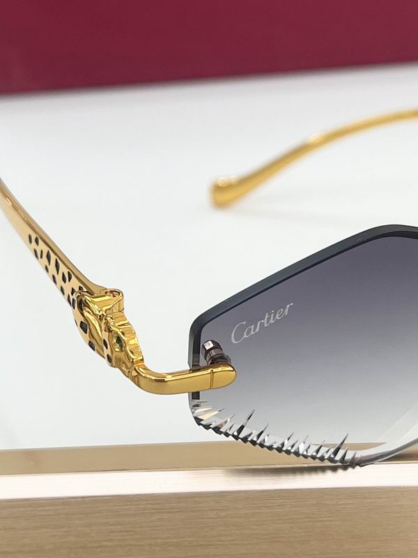 Cartier Glasses smr (59)