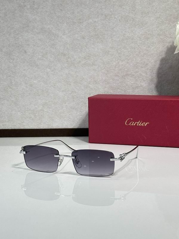 Cartier Glasses smr (595)