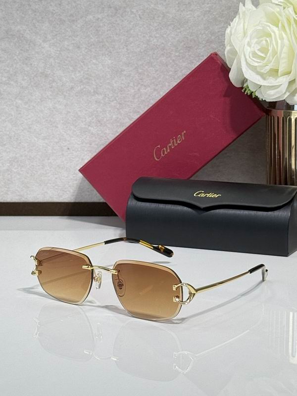 Cartier Glasses smr (613)