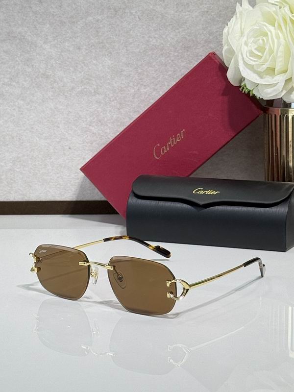 Cartier Glasses smr (614)