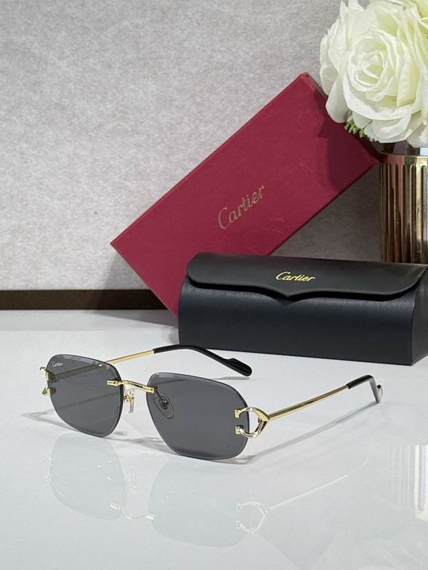 Cartier Glasses smr (615)