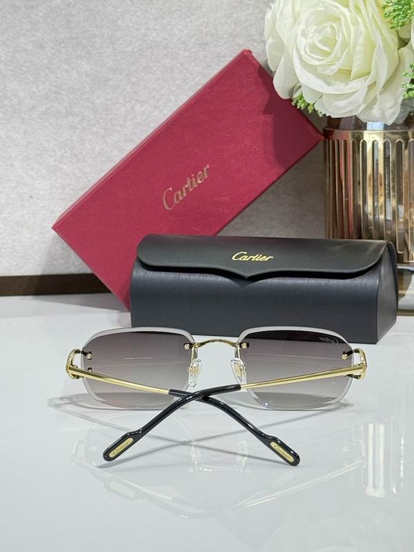 Cartier Glasses smr (619)