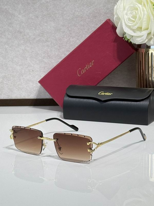 Cartier Glasses smr (634)