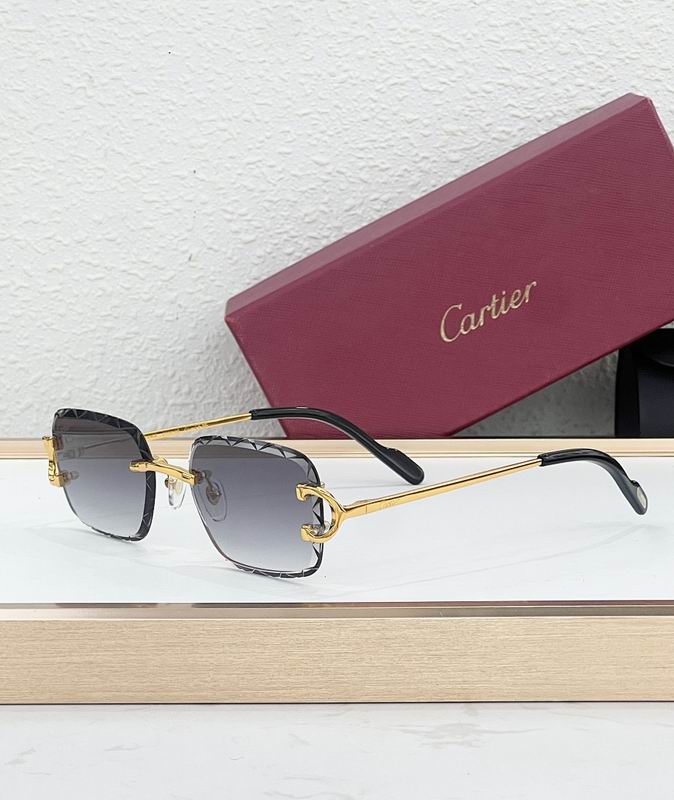 Cartier Glasses smr (65)