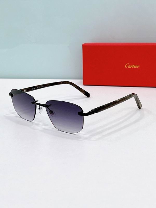 Cartier Glasses smr (650)