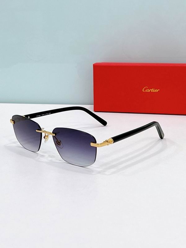 Cartier Glasses smr (653)