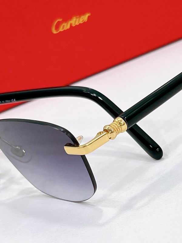 Cartier Glasses smr (655)